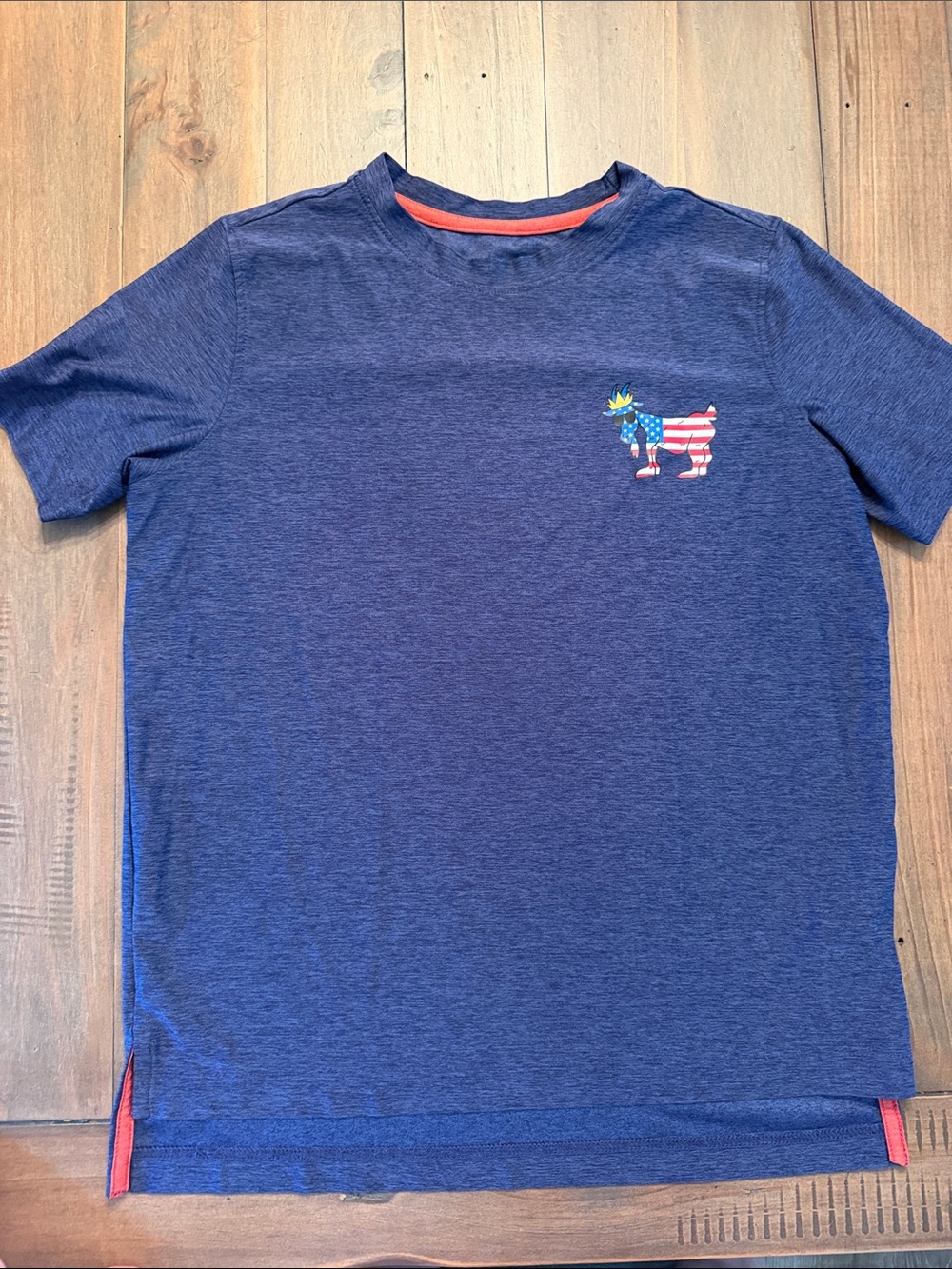 Boys' Blue Short-Sleeve Tee with Patriotic Dog Accent